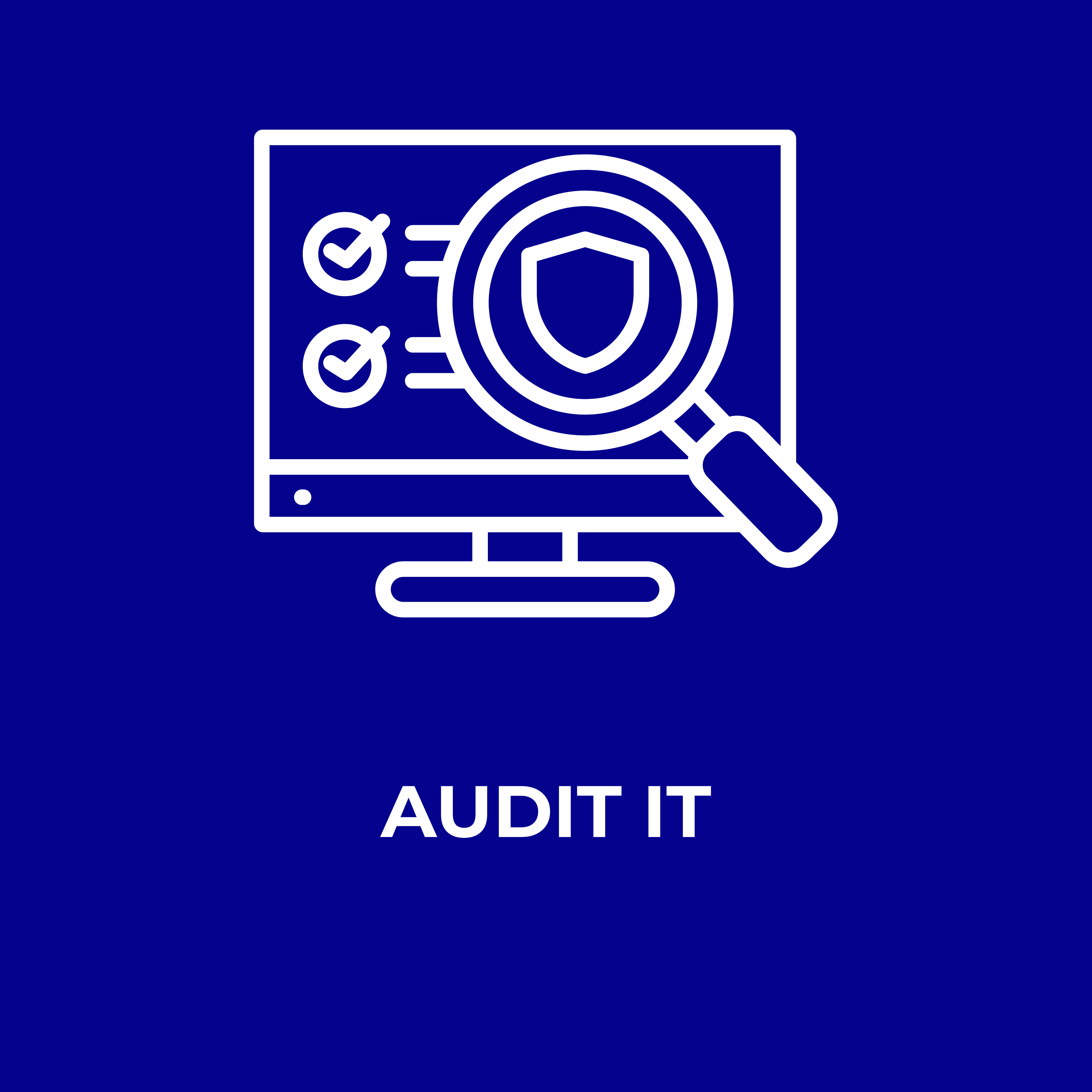 Audit IT