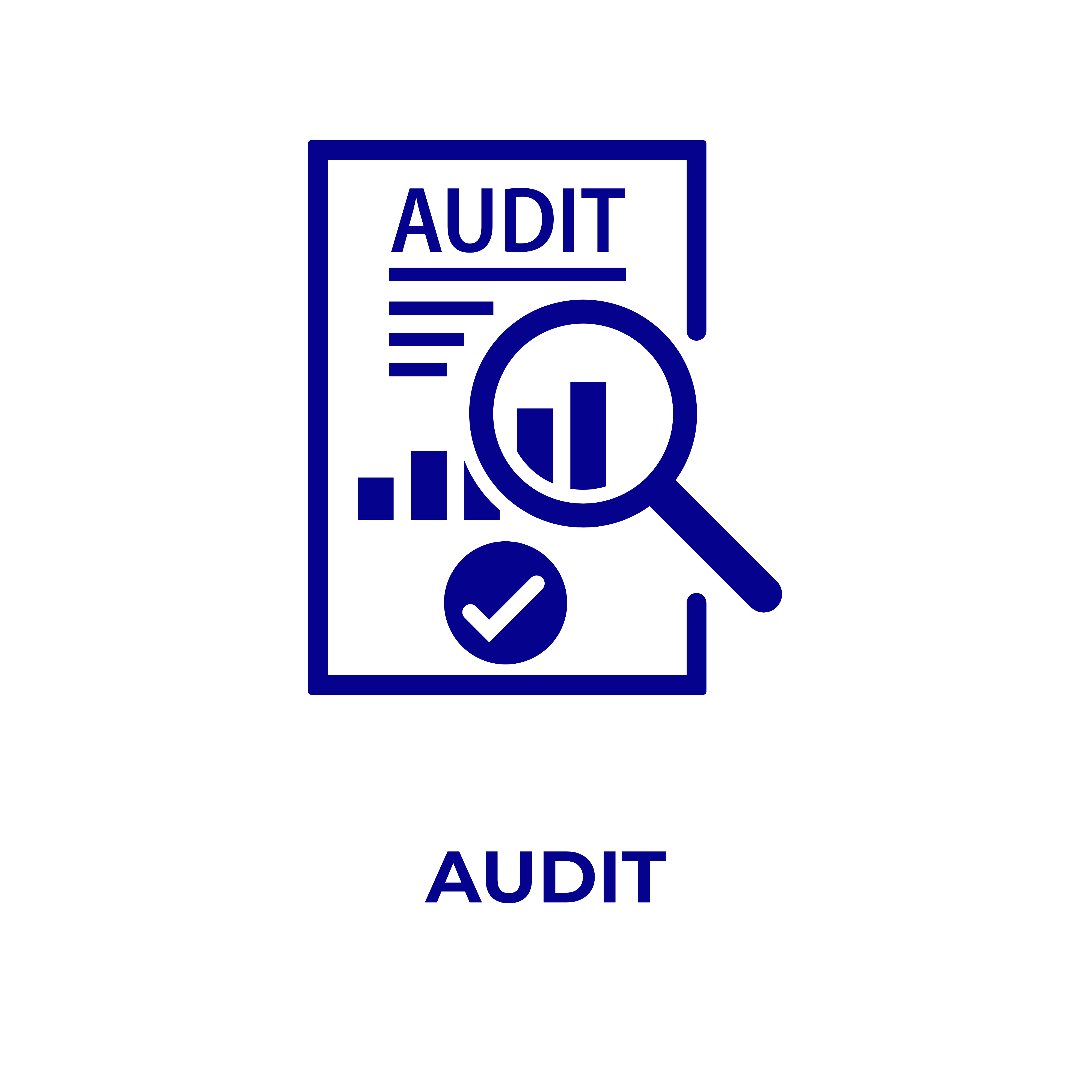 Audit