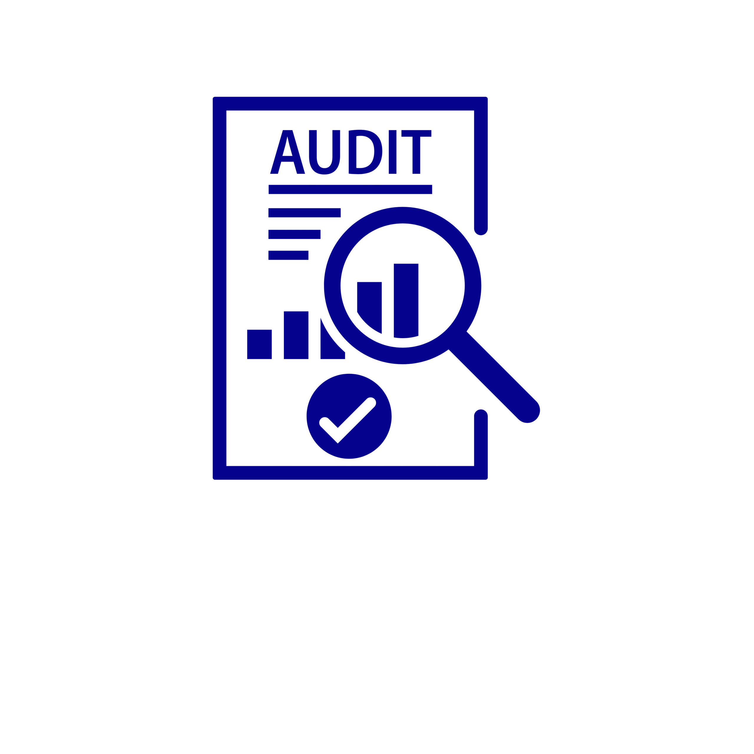Audit Logo
